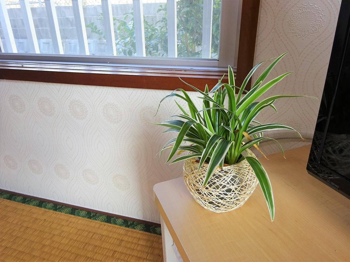 Minshuku Itoman Bettei Goyukkuri Hotel Kültér fotó